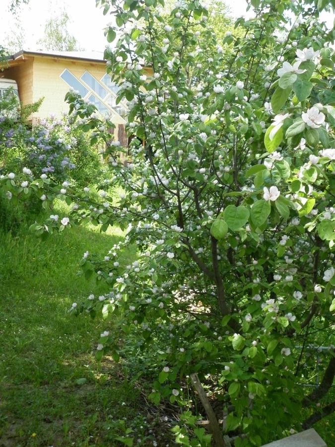 Готель Ecochiocciola Montese Номер фото